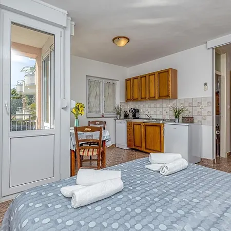 Studio Sanja With Balcony Apartment *